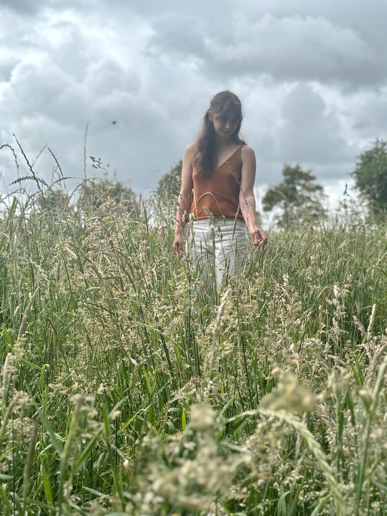 Virginie, Au Bâton de Cristal